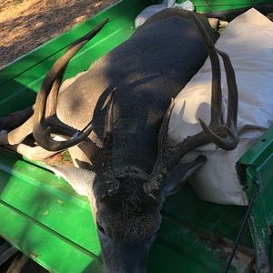 Meet your Posher, Cj